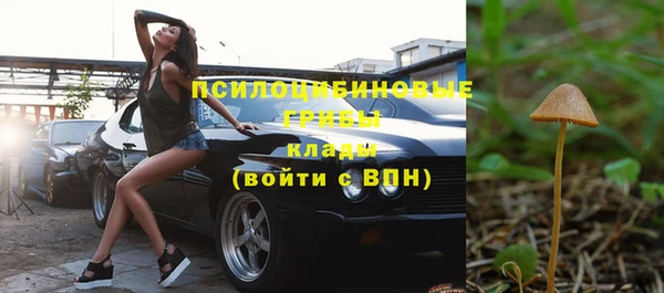 стаф Надым