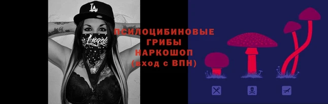 стаф Надым