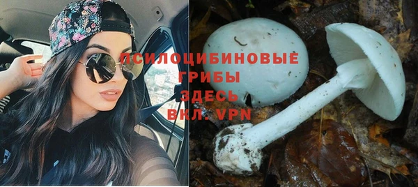 соль курить ск Наволоки