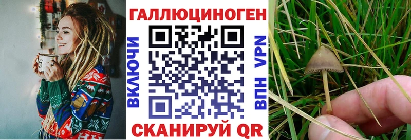 Псилоцибиновые грибы Psilocybine cubensis  Нефтеюганск 